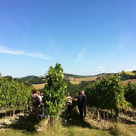 ファームステイ Agriturismo Pratellisei Rosora