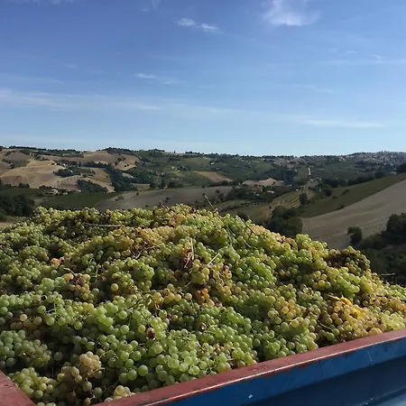Agriturismo Pratellisei